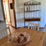 Mondello Apartments